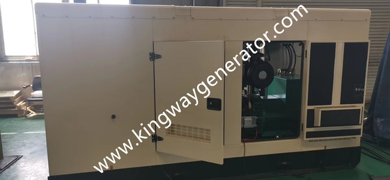 250KVA প্রাকৃতিক গ্যাস কামিন্স 200kw জেনারেটর গ্যাস হিট পাম্প এয়ার কন্ডিশনার জন্য সাইলেন্ট