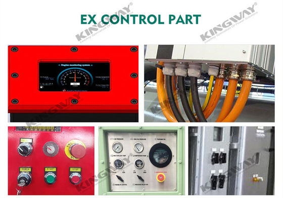 সরবরাহ 300kva 240kw 400v 50hz 3 ফেজ 4 তারের ডিজেল ইঞ্জিন ex-proof ATEX IIB জোন 2 বিপজ্জনক এলাকায় ডিজেল জেনারেটর