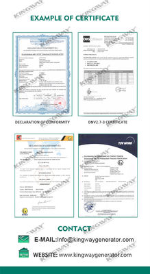 অফশোর প্ল্যাটফর্ম ক্যানোপি 25kva 400v 50hz 3 ফেজ 4 তারের বিস্ফোরণ প্রতিরোধী ডিজেল ইঞ্জিন ATEX জোন 2 প্রত্যয়িত অফশোর জেনারেটর