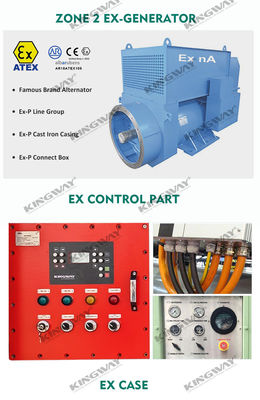 অফশোর প্ল্যাটফর্ম ATEX জোন 2 32kw 40kva জোন 1 বিস্ফোরণ প্রতিরোধী ডিজেল জেনারেটর সেট DNVGL 2.7-1 লিফটিং ফ্রেম