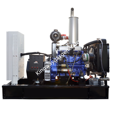 20KW 25KVA সাইলেন্ট ডুয়াল ফুয়েল ডিজেল এবং বায়োগ্যাস জেনারেটর সেট কামিন্স ইঞ্জিন