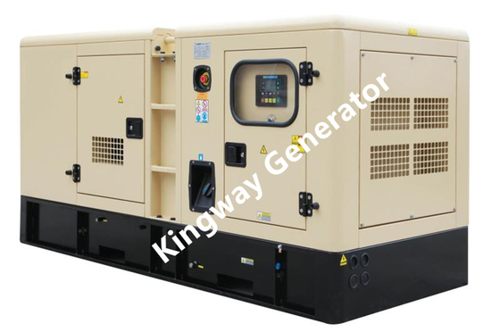 20KW 25KVA সাইলেন্ট ডুয়াল ফুয়েল ডিজেল এবং বায়োগ্যাস জেনারেটর সেট কামিন্স ইঞ্জিন